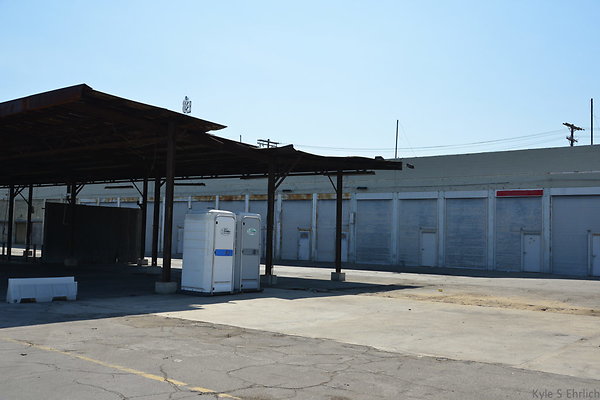 DSC 5441