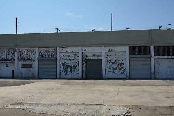 DSC 5331
