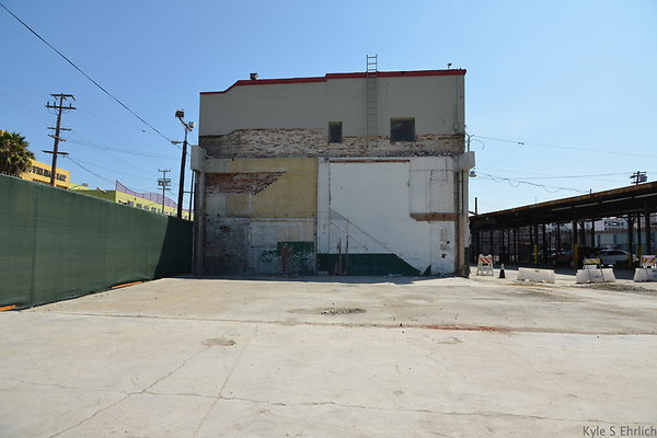 DSC 5355
