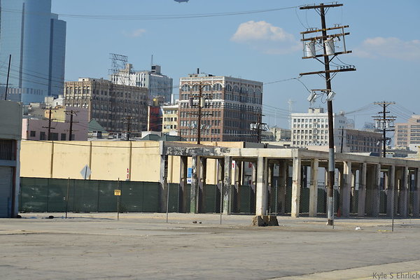 DSC 5344