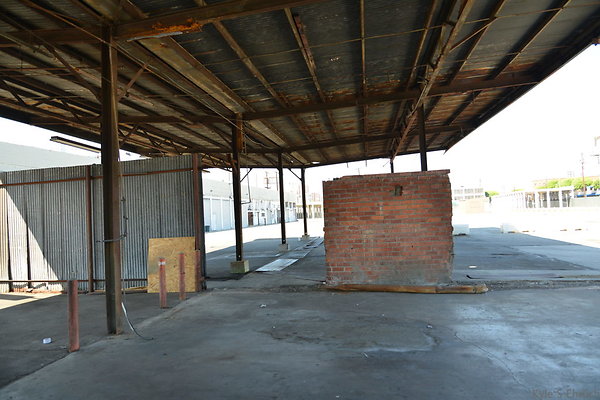 DSC 5391
