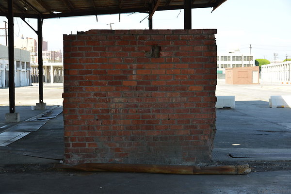 DSC 5389