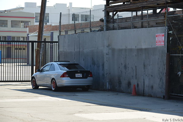 DSC 5383