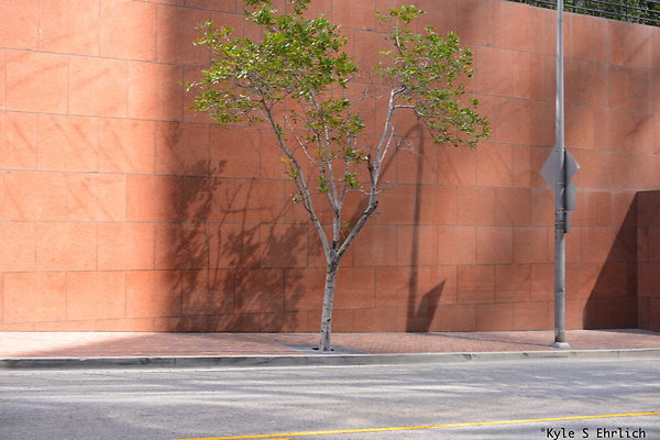 DSK 7955