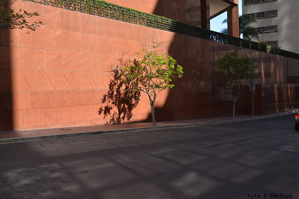 DSK 7898