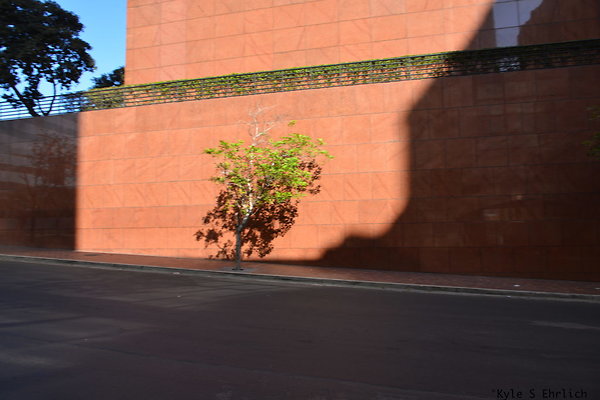 DSK 7907