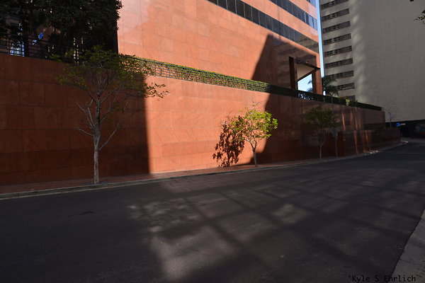 DSK 7893
