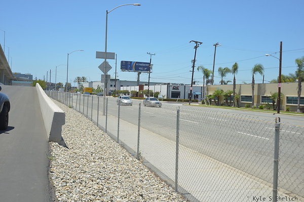 DSC 7967