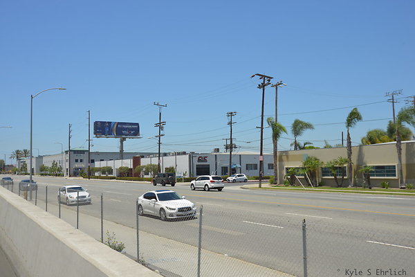 DSC 7961