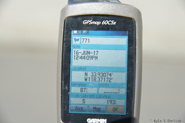 DSC 9893a