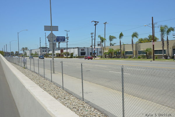 DSC 7955