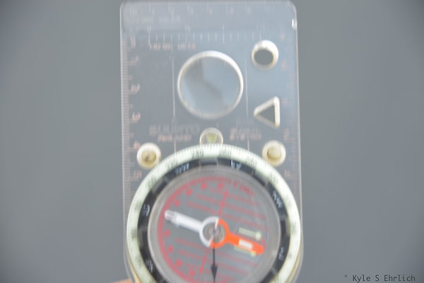 DSC 7995