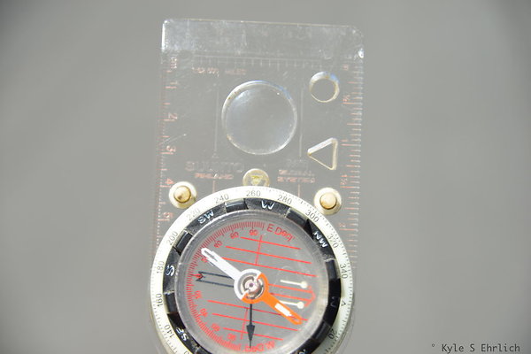 DSC 7704