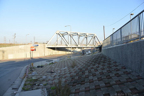 DSC 8335