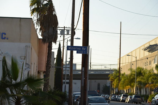 DSC 8337