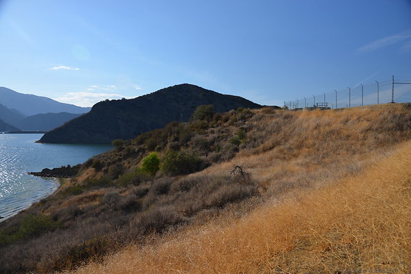 DSC 5853