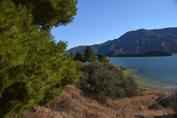 DSC 5864