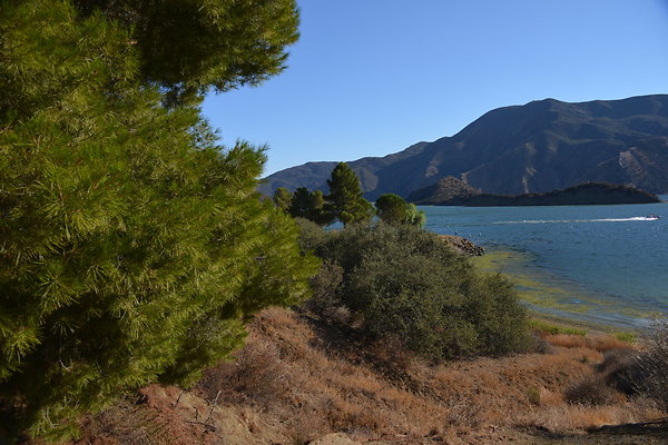 DSC 5858