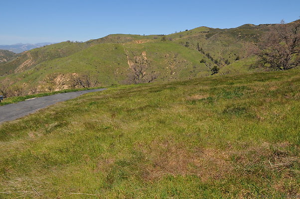 DSC 2536