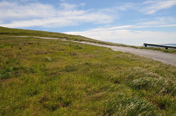 DSC 2521