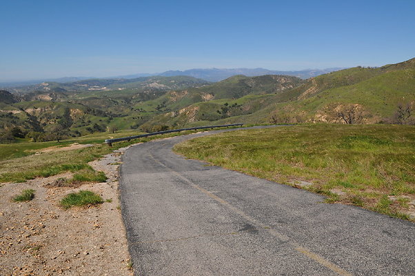 DSC 2537