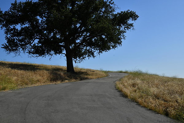 DSK 9807