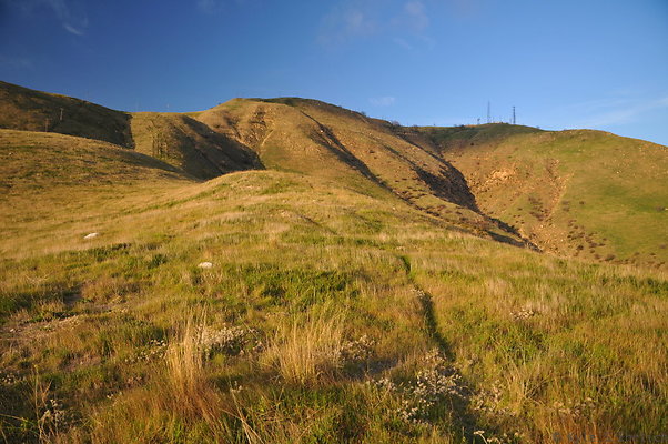 DSC 7641