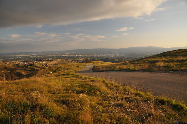 DSC 7610
