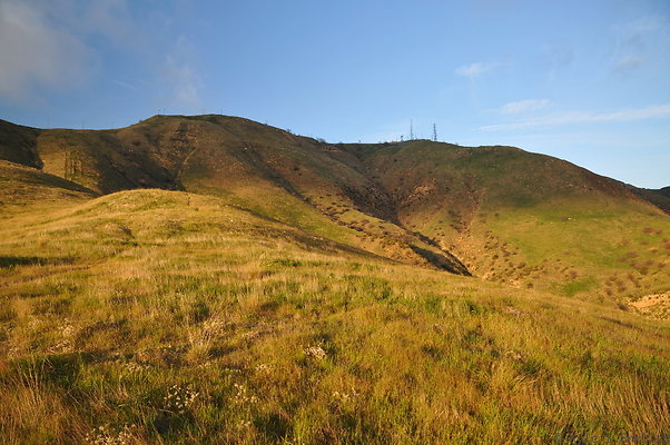 DSC 7620