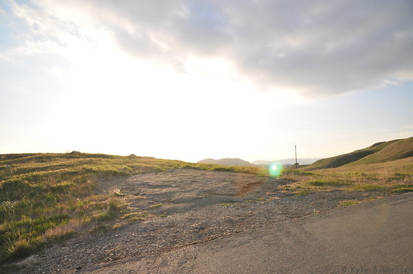DSC 7629