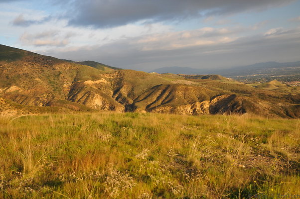 DSC 7621