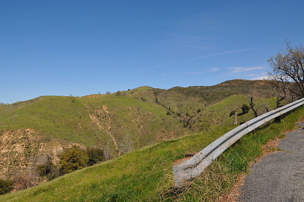 DSC 2427