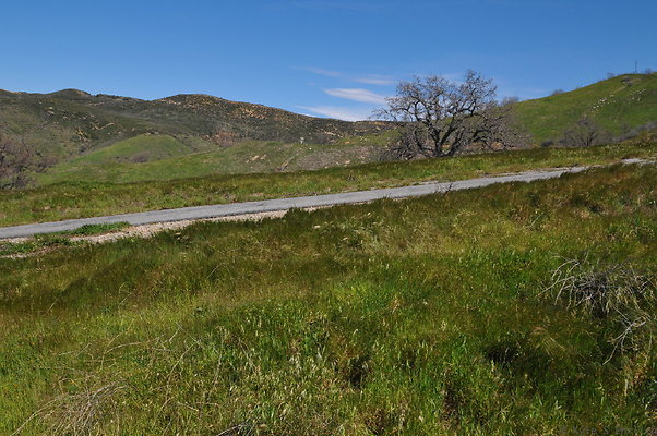 DSC 2472