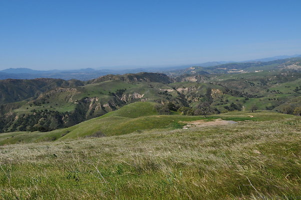 DSC 2464