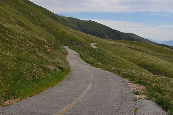 DSC 2375
