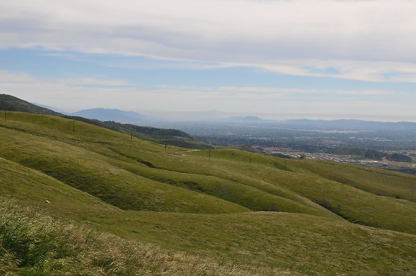 DSC 2372