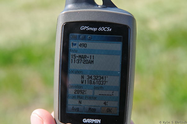 DSC 4373a