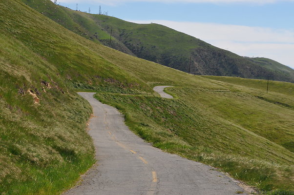 DSC 2376