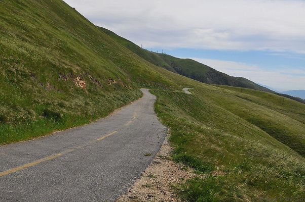 DSC 2381
