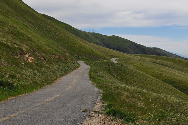 DSC 2378