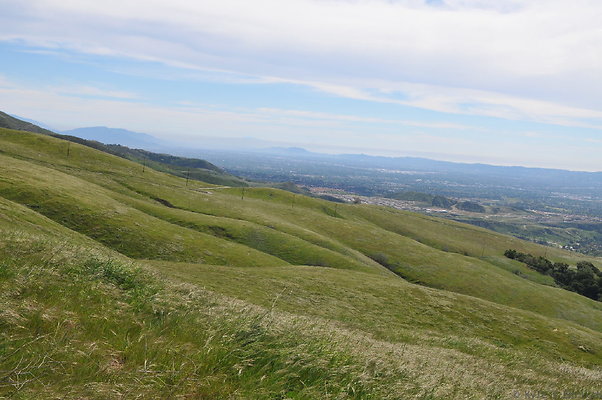 DSC 2364