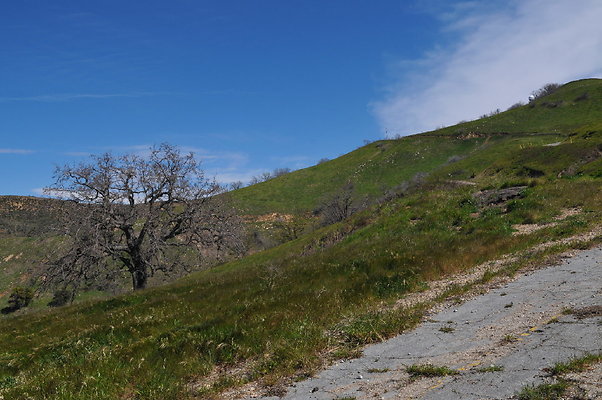 DSC 2443