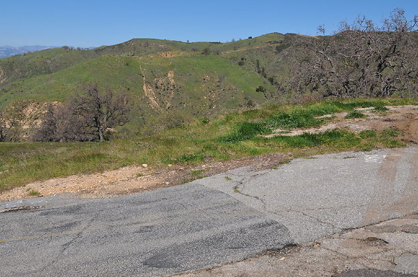 DSC 2442