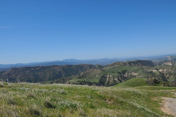 DSC 2434