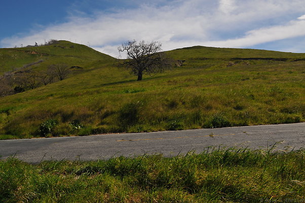 DSC 2476
