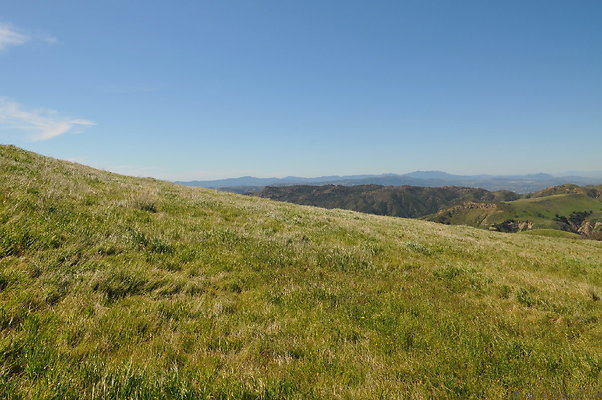 DSC 2496