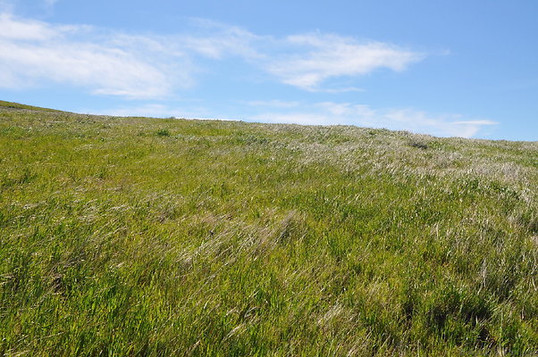 DSC 2509