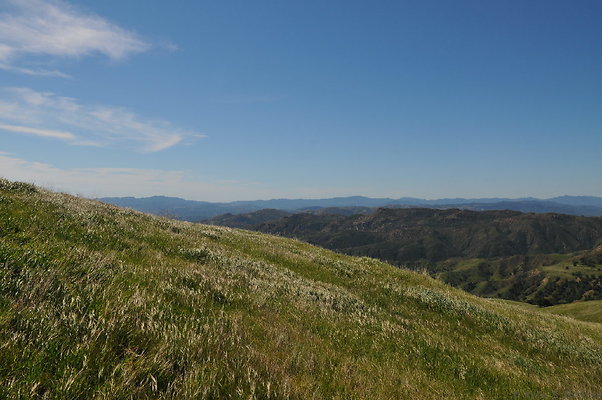 DSC 2490