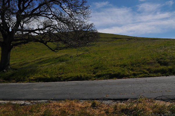 DSC 2500