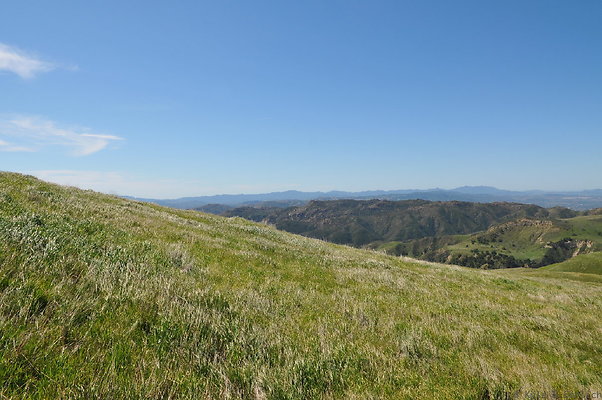 DSC 2514